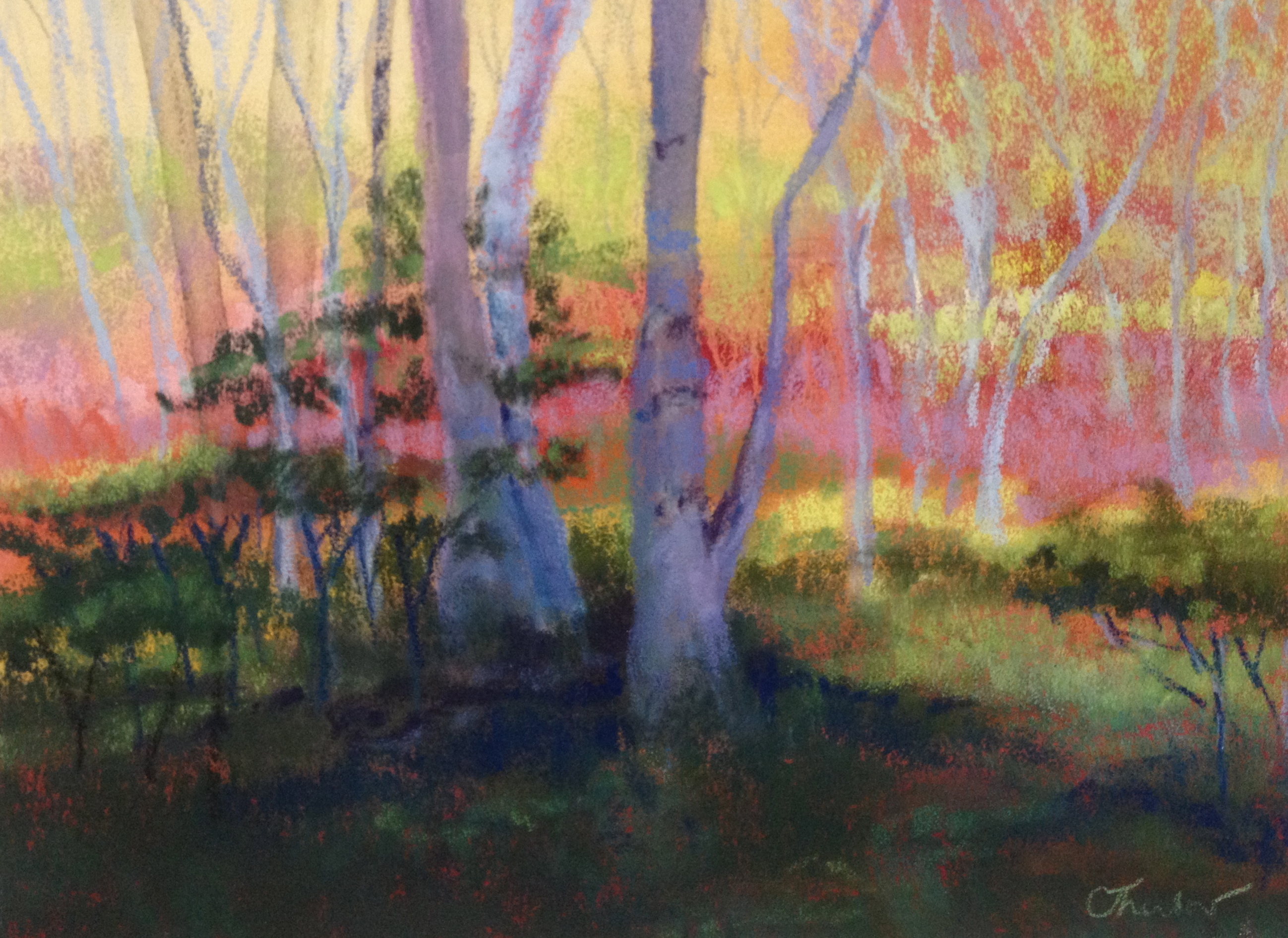 Carol Thurlow - Birch Oasis II Honorable Mention: "Birch Oasis" by Carol Thurlow