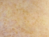 Dusman (Amber Waves)
