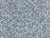 Dusman (White on Grey)