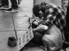 Man's Best Friend by Jack Reynolds