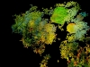Plant Matter On Dark Matter by Reyna Carretta
