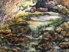 Lois Westerfield
