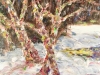 Winter Bark by Robert Diken