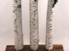 Birches-by-Susanna-Kopchains