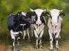 Bovine-Grapevine-by-Rita-Koch