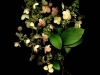 Hydrangea-by-Sally-Dougan