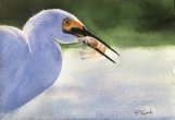 "Good Catch" by Rita Koch