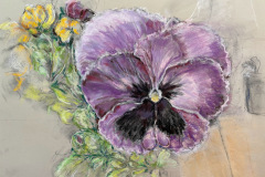 Cecilly Sullivan, "Pansy," Pastel, 28.8125"x22.8125", $400 