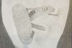 Zoey Cavaliere, "Flower Friend," Graphite, 12"x16", NFS