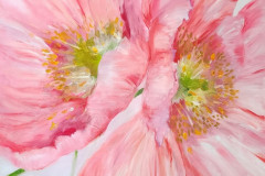 Kruthi Sukhavasi, "Poppies," Oil, 24"x24", NFS