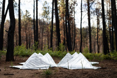 Katie Kehoe, The Survival Architect Transporting a Portable Wildfire Shelter for Animals, Chromogenic Print