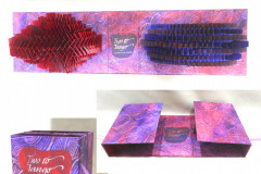 Charlene Asato, Two to Tango, Artist's Book