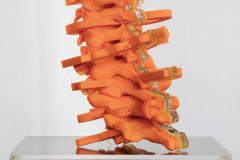 Daniel Cosentino, Spine, PLA, Acrylic, Wood Plinth