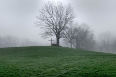 Grace in the Fog, Photography, by Ken Musgrove