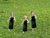 Yellow Field by Jill Kerwick