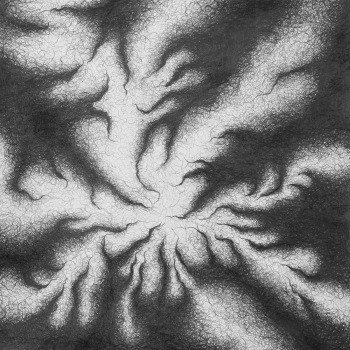 "Collect," by Judi Tavill, Graphite Drawing on Paper
