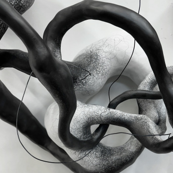 Detail from "Contiguous," Installation by Judi Tavill,  Mixed Media. Graphite. Varnish