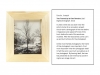 Tree Framed by its Own Remains by Joseph Ursulo
