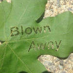"Blown Away" by Abraham Ferraro