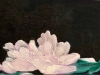 17B Peony 5x7_ OonB 2018