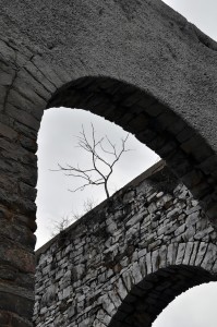 Photography by Denise Cashin