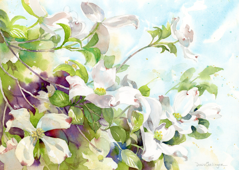 spring flowers